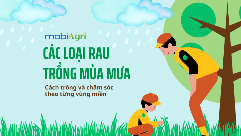 Cac-loai-rau-trong-mua-mua-4