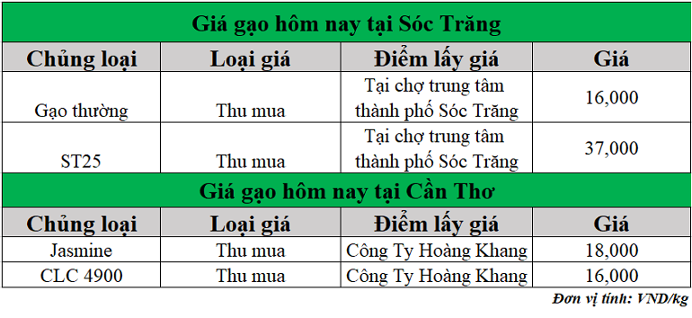 Gia-gao-hom-nay-ngay-19-5-2025
