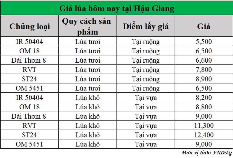 Gia-lua-hom-nay-ngay-13-5-2025