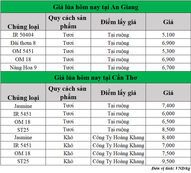 Gia-lua-hom-nay-ngay-15-5-2025