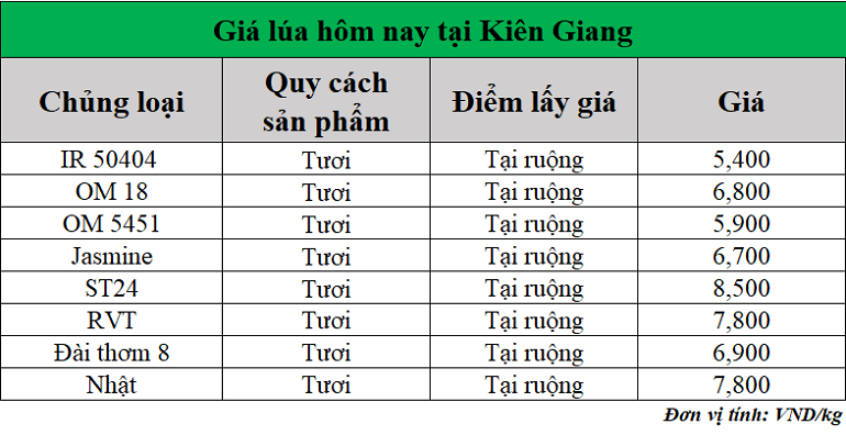 Gia-lua-hom-nay-ngay-16-5-2025