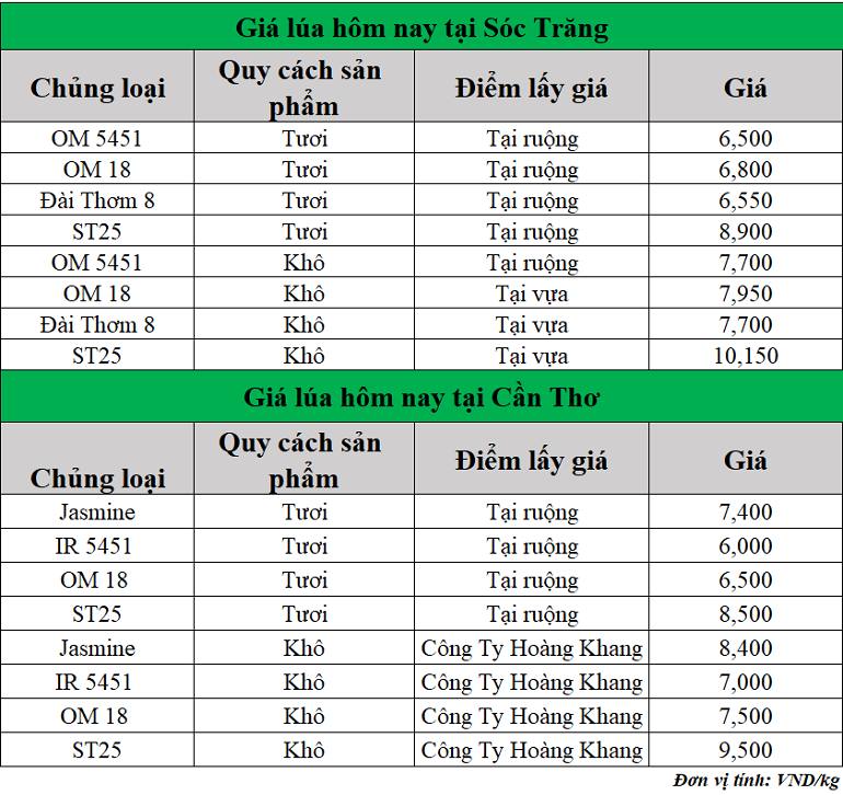 Gia-lua-hom-nay-ngay-19-5-2025