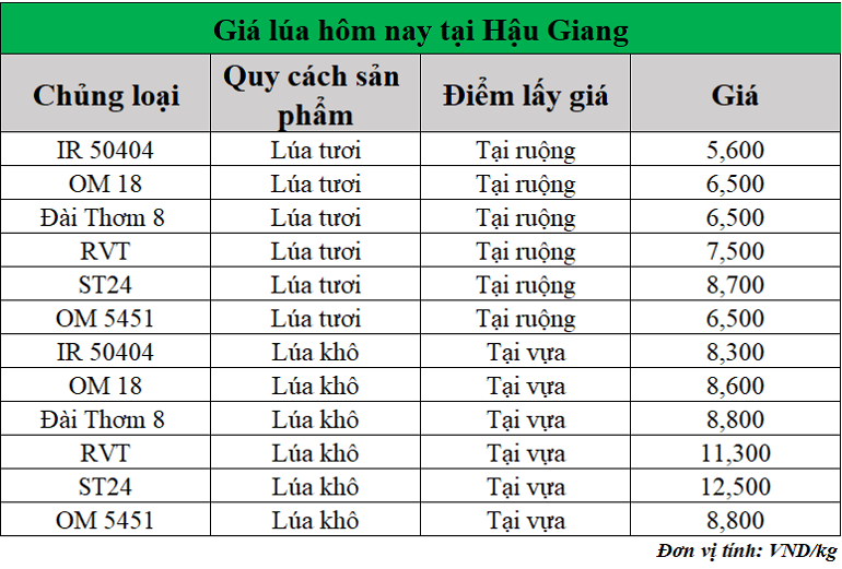 Gia-lua-hom-nay-ngay-20-5-2025