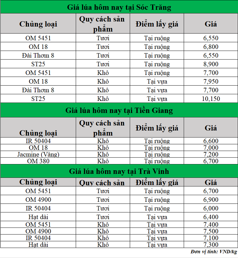 Gia-lua-hom-nay-ngay-21-5-2025