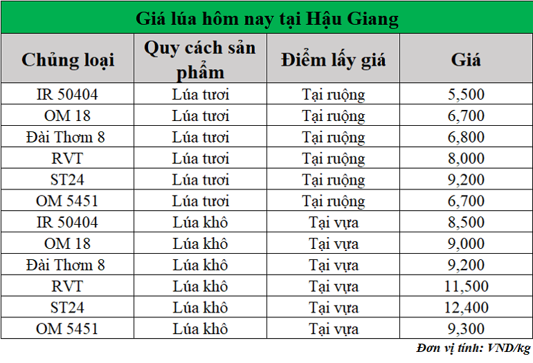 Gia-lua-hom-nay-ngay-6-5-2025