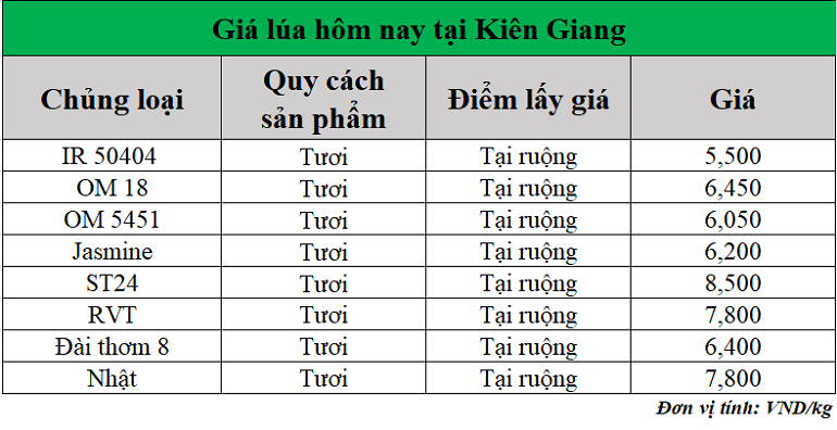 Gia-lua-hom-nay-ngay-9-5-2025