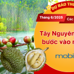 Thoi-tiet-thang-6-2025
