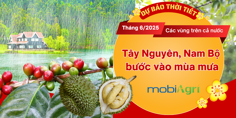 Thoi-tiet-thang-6-2025