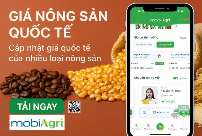 giá nông sản quốc tế