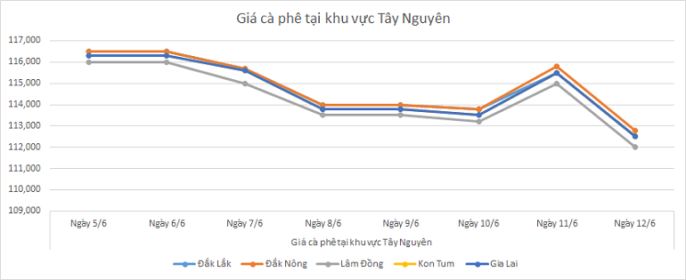 Bieu-do-gia-ca-phe-ngay-12-6-2025
