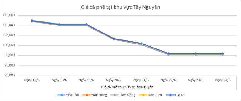 Bieu-do-gia-ca-phe-ngay-24-6-2025