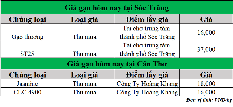 Gia-gao-hom-nay-ngay-9-6-2025