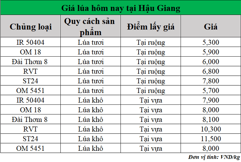 Gia-lua-hom-nay-ngay-10-6-2025