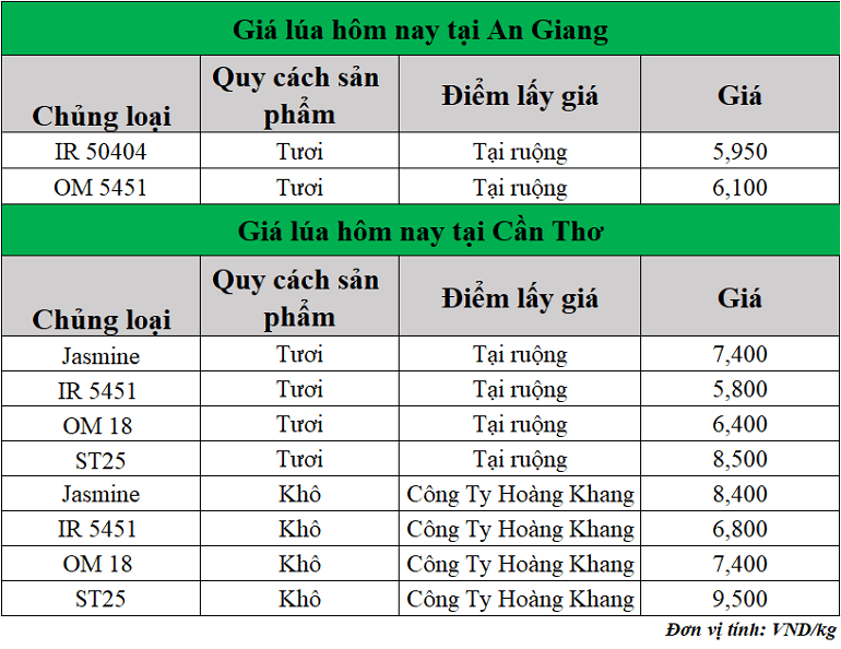 Gia-lua-hom-nay-ngay-12-6-2025