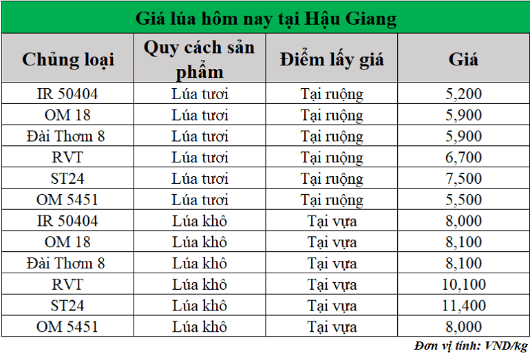 Gia-lua-hom-nay-ngay-17-6-2025