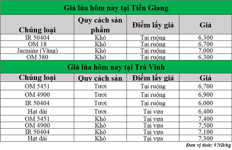 Gia-lua-hom-nay-ngay-18-6-2025