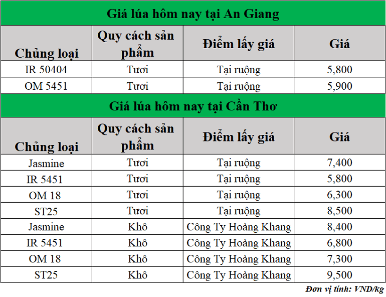 Gia-lua-hom-nay-ngay-19-6-2025