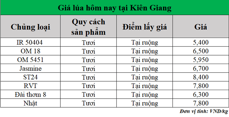 Gia-lua-hom-nay-ngay-20-6-2025