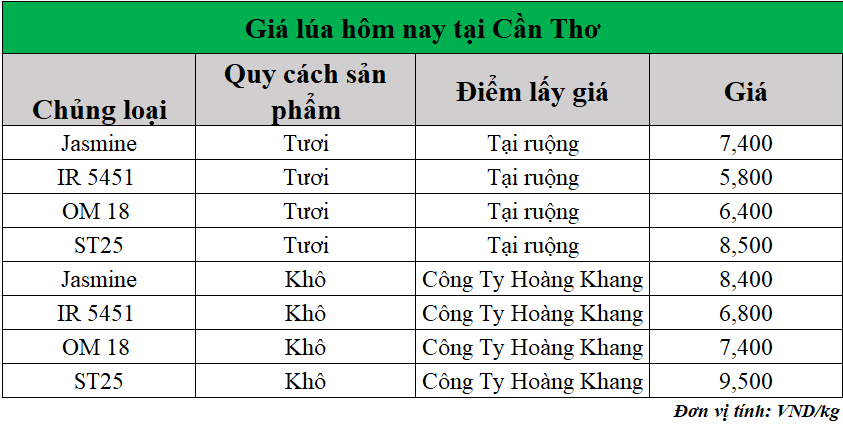 Gia-lua-hom-nay-ngay-23-6-2025