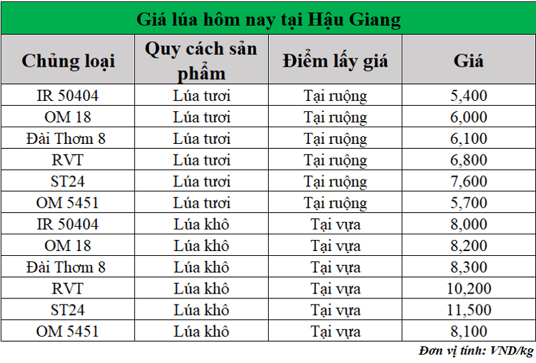 Gia-lua-hom-nay-ngay-24-6-2025