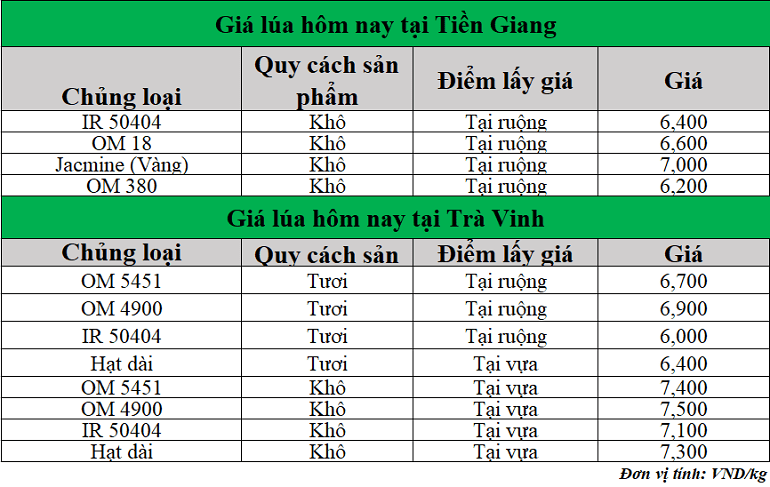 Gia-lua-hom-nay-ngay-25-6-2025