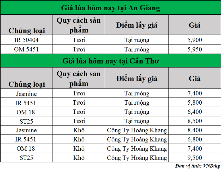 Gia-lua-hom-nay-ngay-26-6-2025