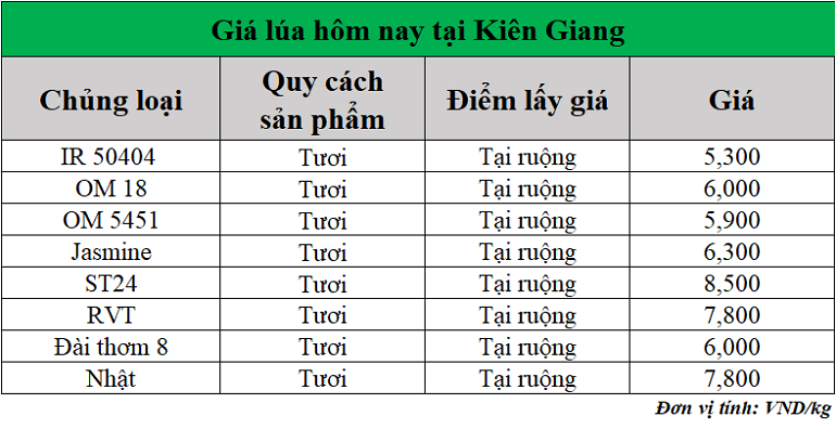Gia-lua-hom-nay-ngay-27-6-2025