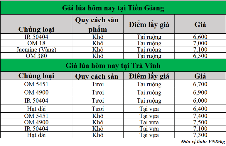 Gia-lua-hom-nay-ngay-4-6-2025
