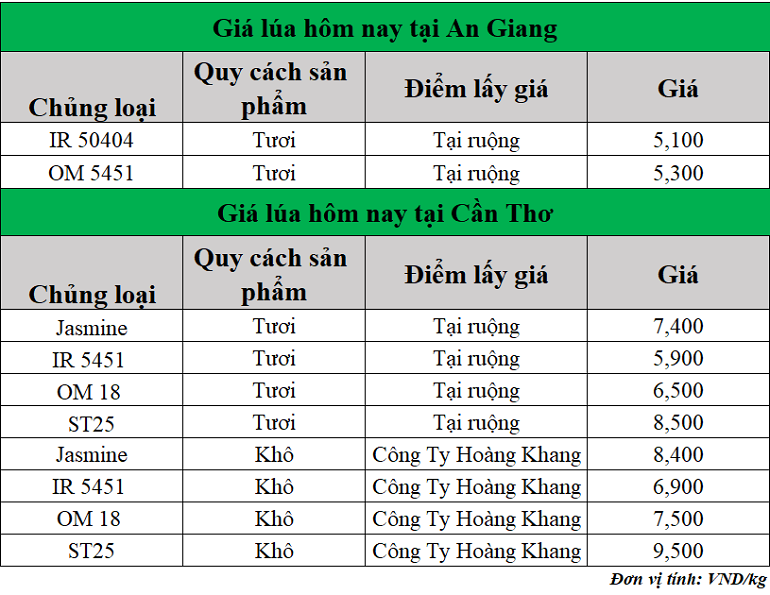 Gia-lua-hom-nay-ngay-5-6-2025