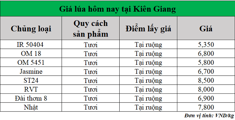 Gia-lua-hom-nay-ngay-6-6-2025