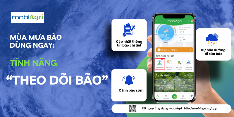Truyền thông tính năng theo dõi bão (1)