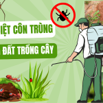 cach-diet-con-trung-trong-dat-trong-cay-1