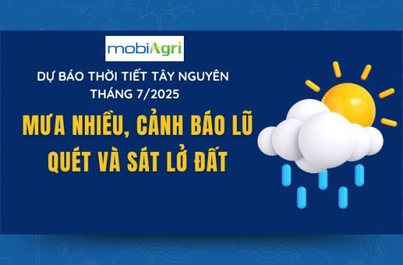 du-bao-thoi-tiet-tay-nguyen-1