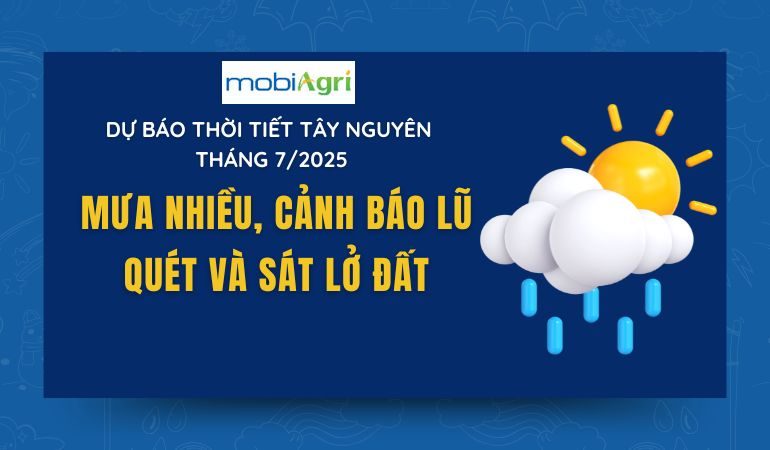 du-bao-thoi-tiet-tay-nguyen-1