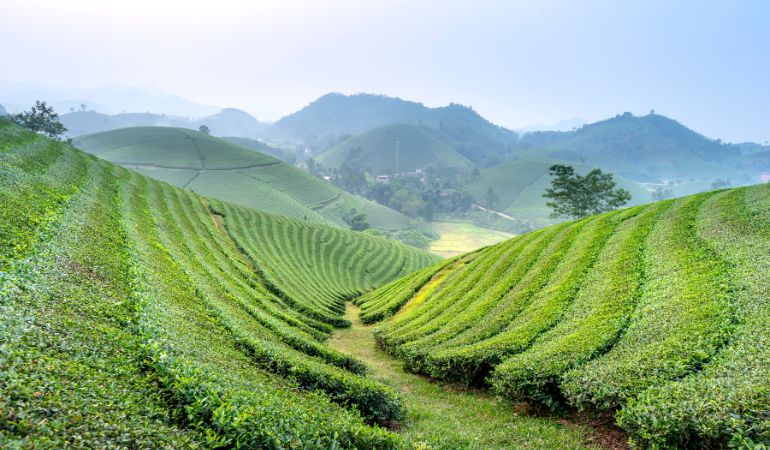 du-bao-thoi-tiet-tay-nguyen-2