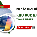 thoi-tiet-nam-bo-thang7-2025