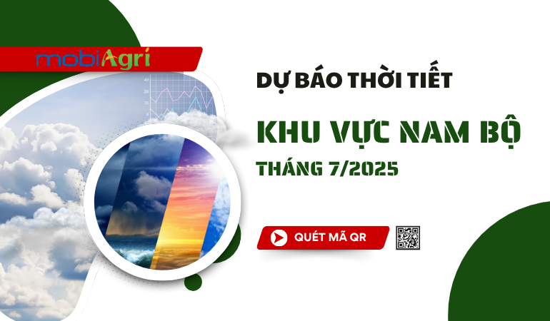 thoi-tiet-nam-bo-thang7-2025