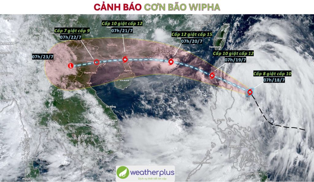 Bao-WIPHA-bao-so-3