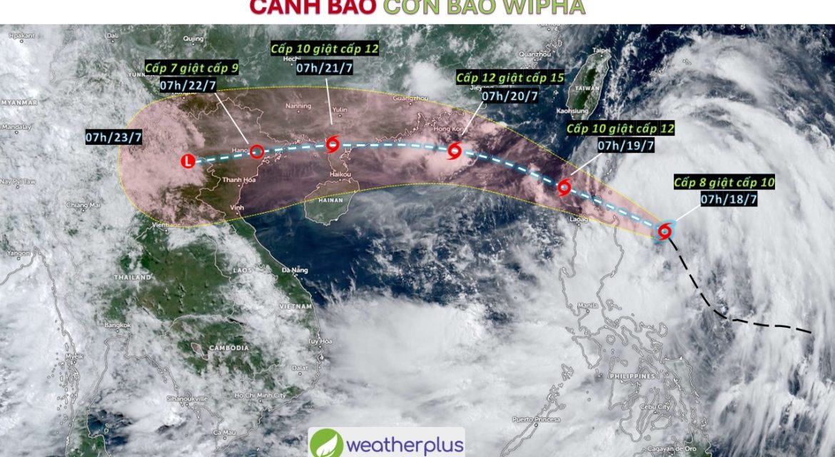 Bao-WIPHA-bao-so-3