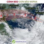 Bao-WIPHA-bao-so-3