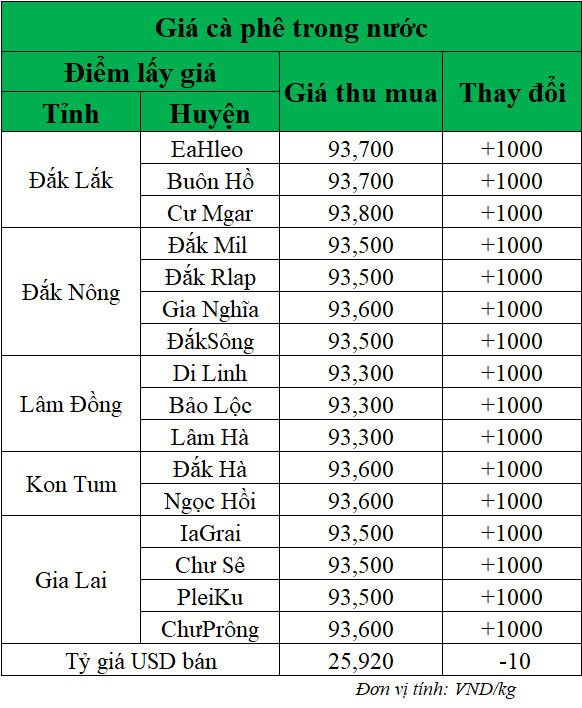 Giá cà phê trong nước hôm nay
