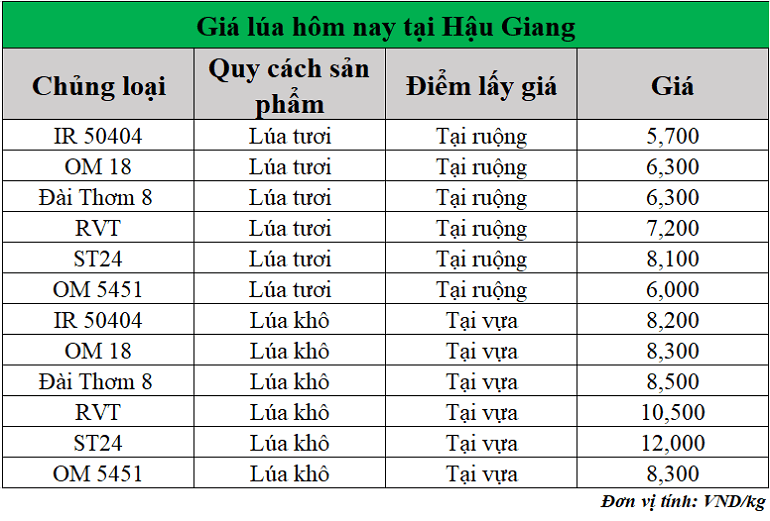 Gia-lua-hom-nay-ngay-15-7-2025