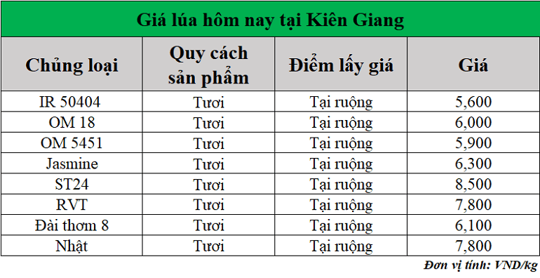 Gia-lua-hom-nay-ngay-18-7-2025