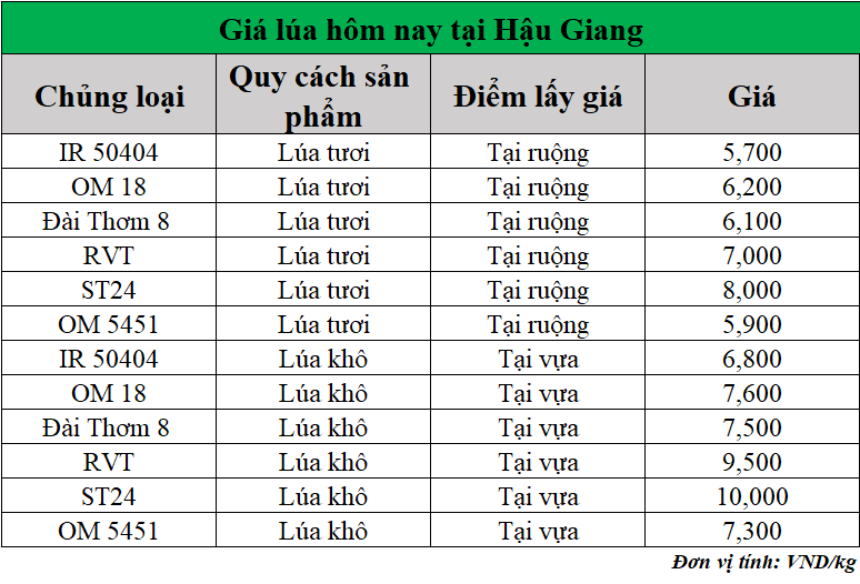 Gia-lua-hom-nay-ngay-22-7-2025