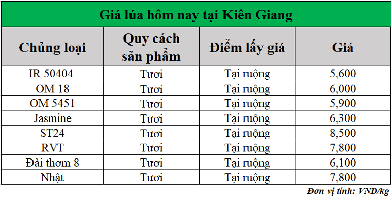 Gia-lua-hom-nay-ngay-25-7-2025