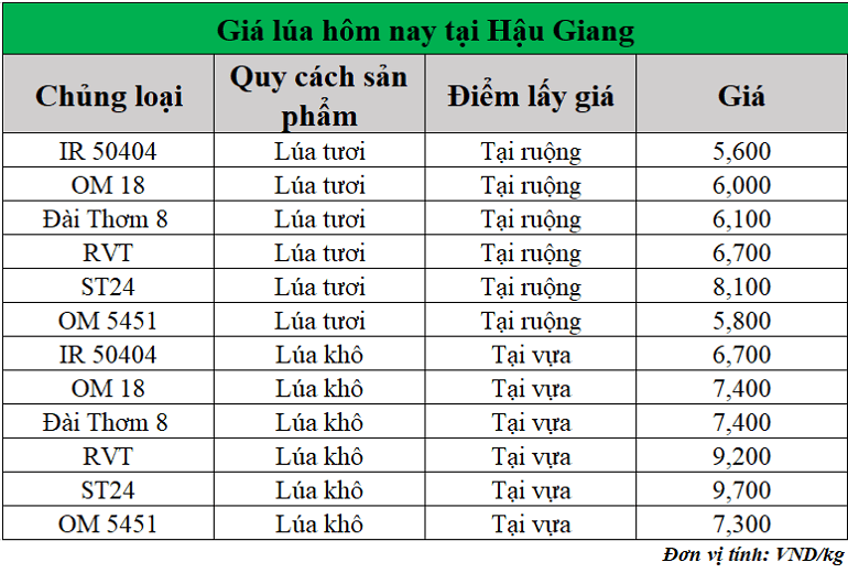 Gia-lua-hom-nay-ngay-29-7-2025
