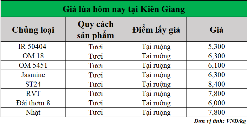 Gia-lua-hom-nay-ngay-4-7-2025
