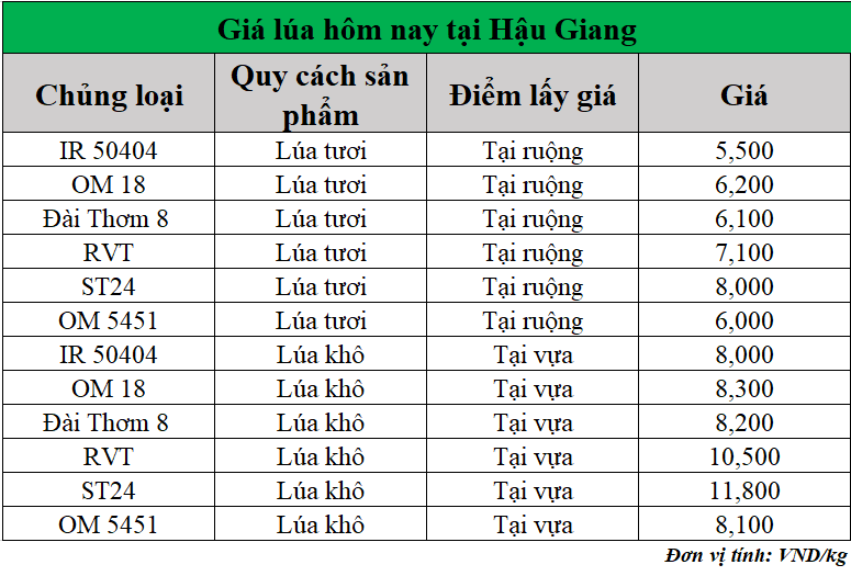 Gia-lua-hom-nay-ngay-8-7-2025
