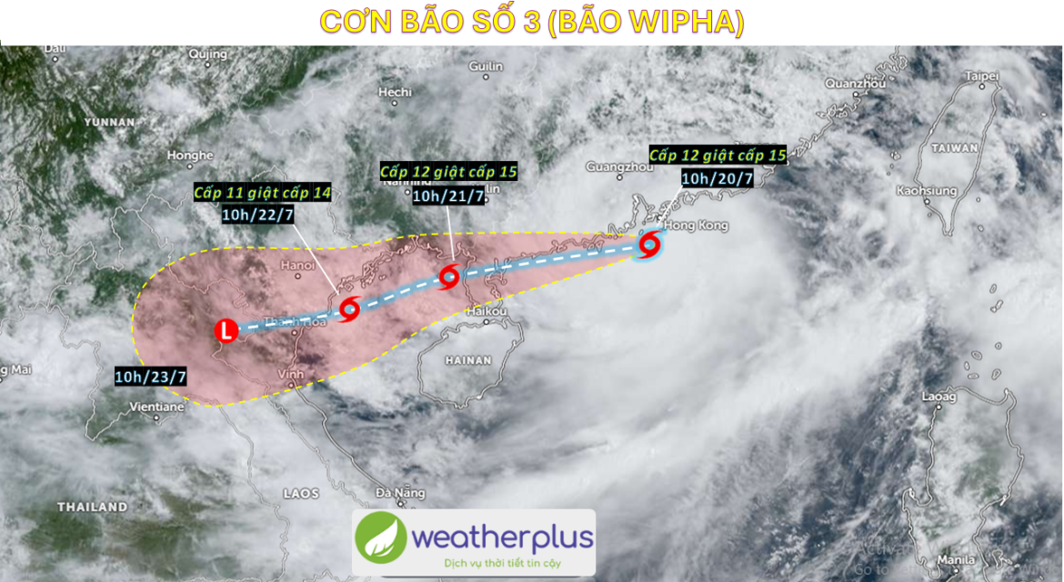bao-so-3-wipha-2