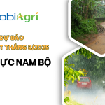 du-bao-thoi-tiet-thang-8-2025-5